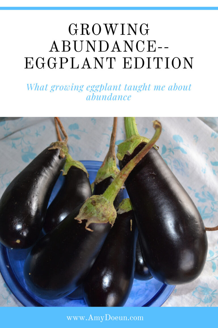 Growing Abundance–Eggplant Edition